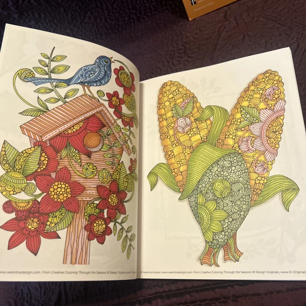 Lot Of 2 Adult Coloring Books Creative Coloring Through Season & Exotic Chickens